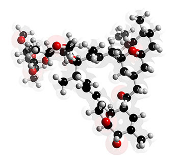 The image from "sientelasalud's photostream "