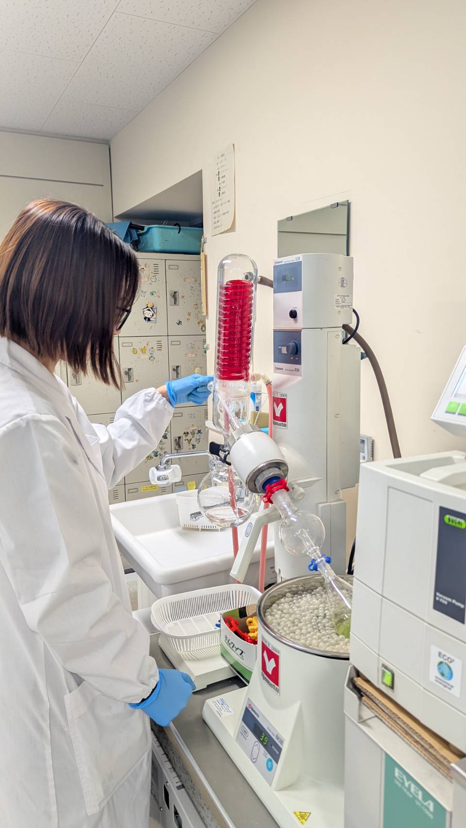 新世代紹介Part2　ことりちゃん